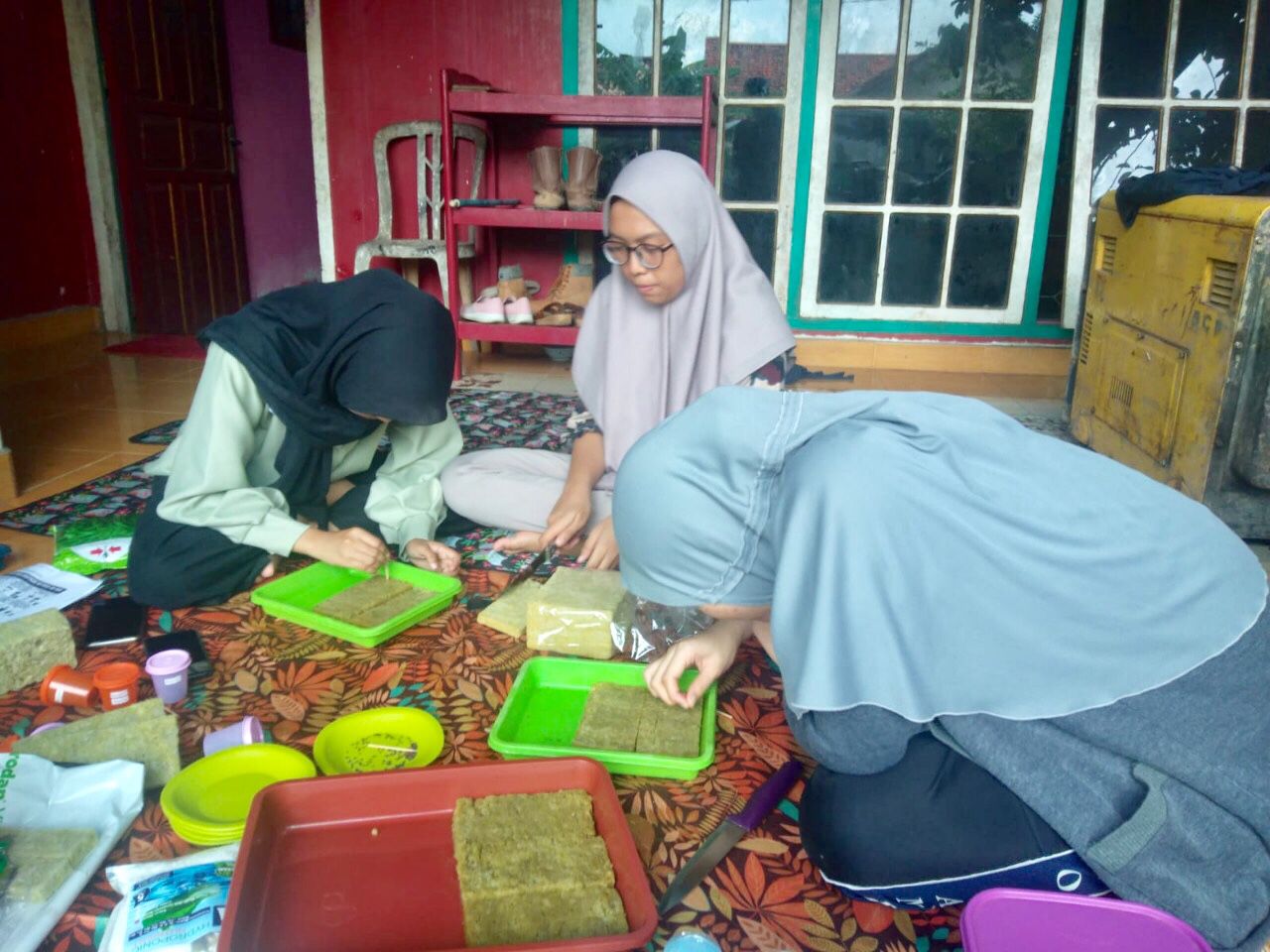 Tanaman Hidroponik