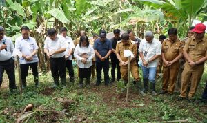 Penjabat Bupati Minahasa