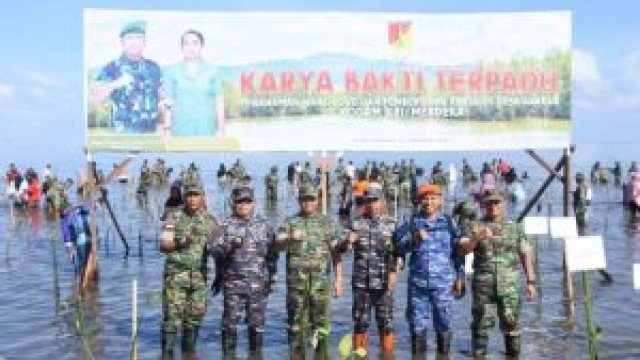 Melalui Karya Bakti Terpadu, Kodam XIII/Merdeka Peduli Mangrove dan Sesama