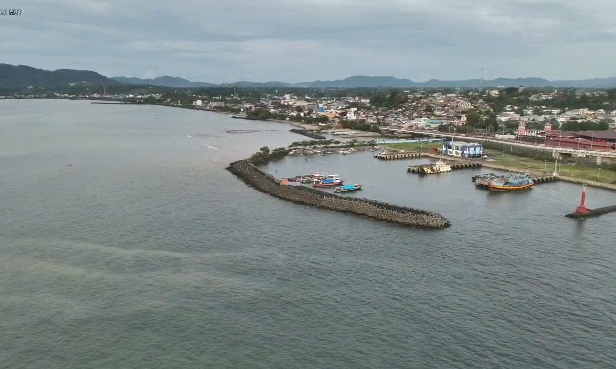 Buaya Teluk Manado