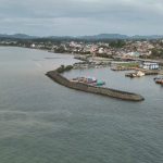 Buaya Teluk Manado