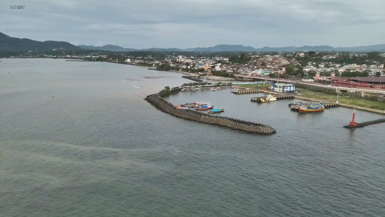 Buaya Teluk Manado